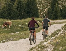 Ciclismo