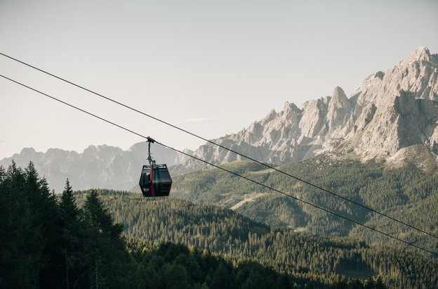 3 CIME IN ESTATE